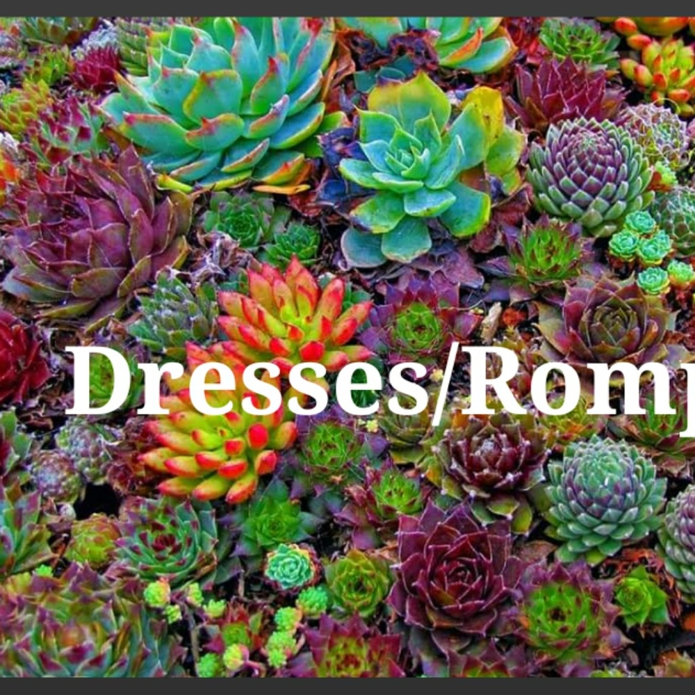 Dresses and rompers below